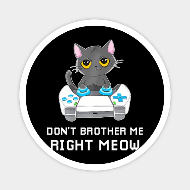 Video  & Cat   Bother Me Right Magnet by Lamacom